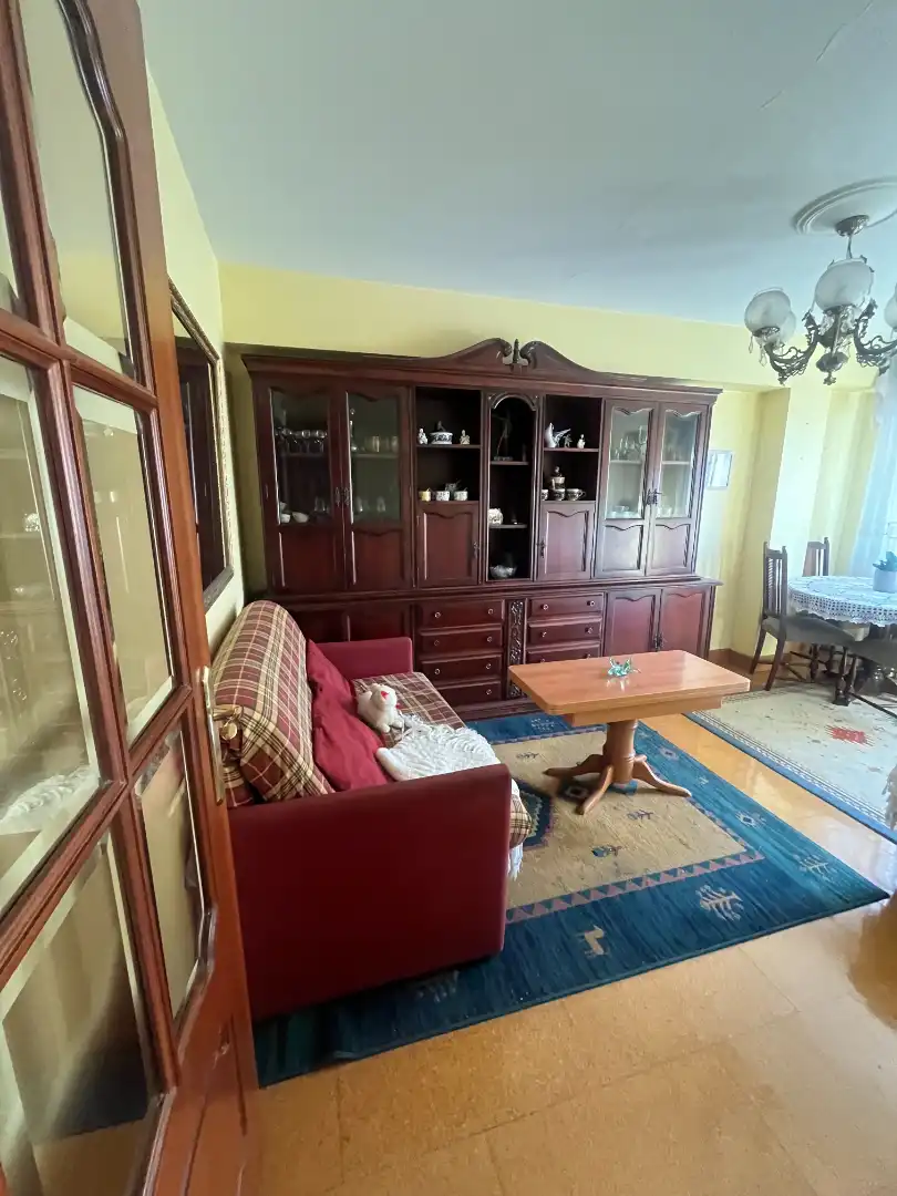 Sala de estar de Piso en venta en A Coruña Capital  con Amueblado, Horno y Lavadora