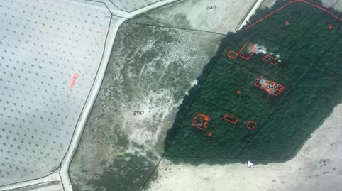 Photo 4 of Residential for sale in Villena - Camino las Chozas, Las Virtudes, Alicante