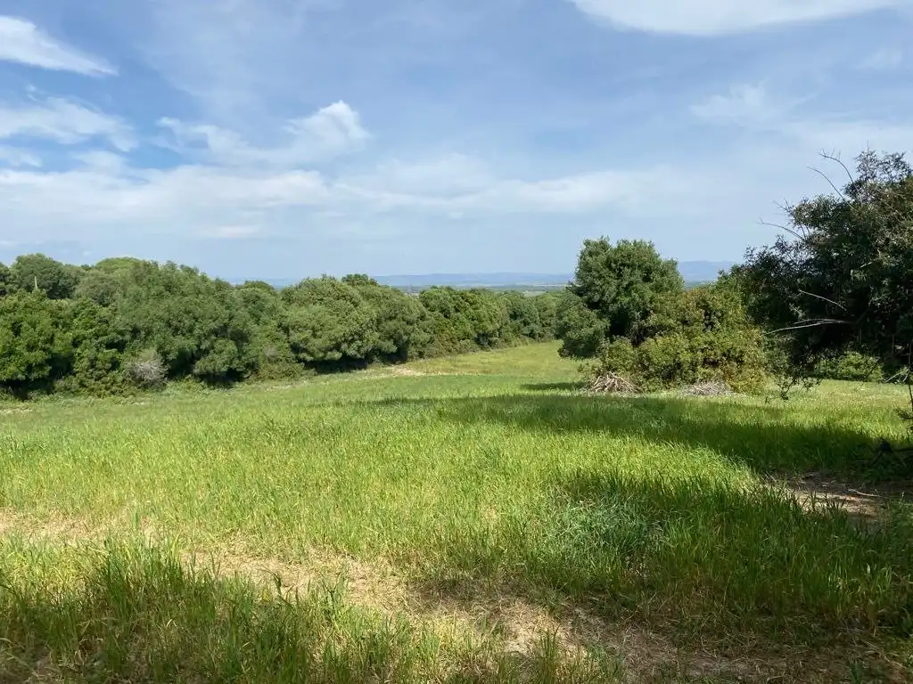 Terrain rustique à vendre à Vejer, imagen 9