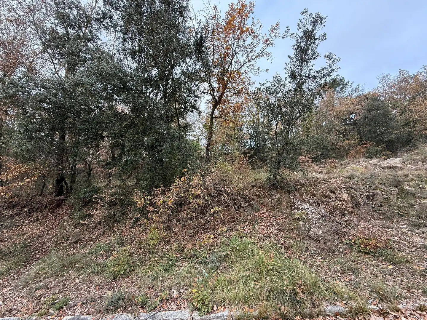 Terreno residenziale in vendita a Carrer d'Andorra 82, imagen 14