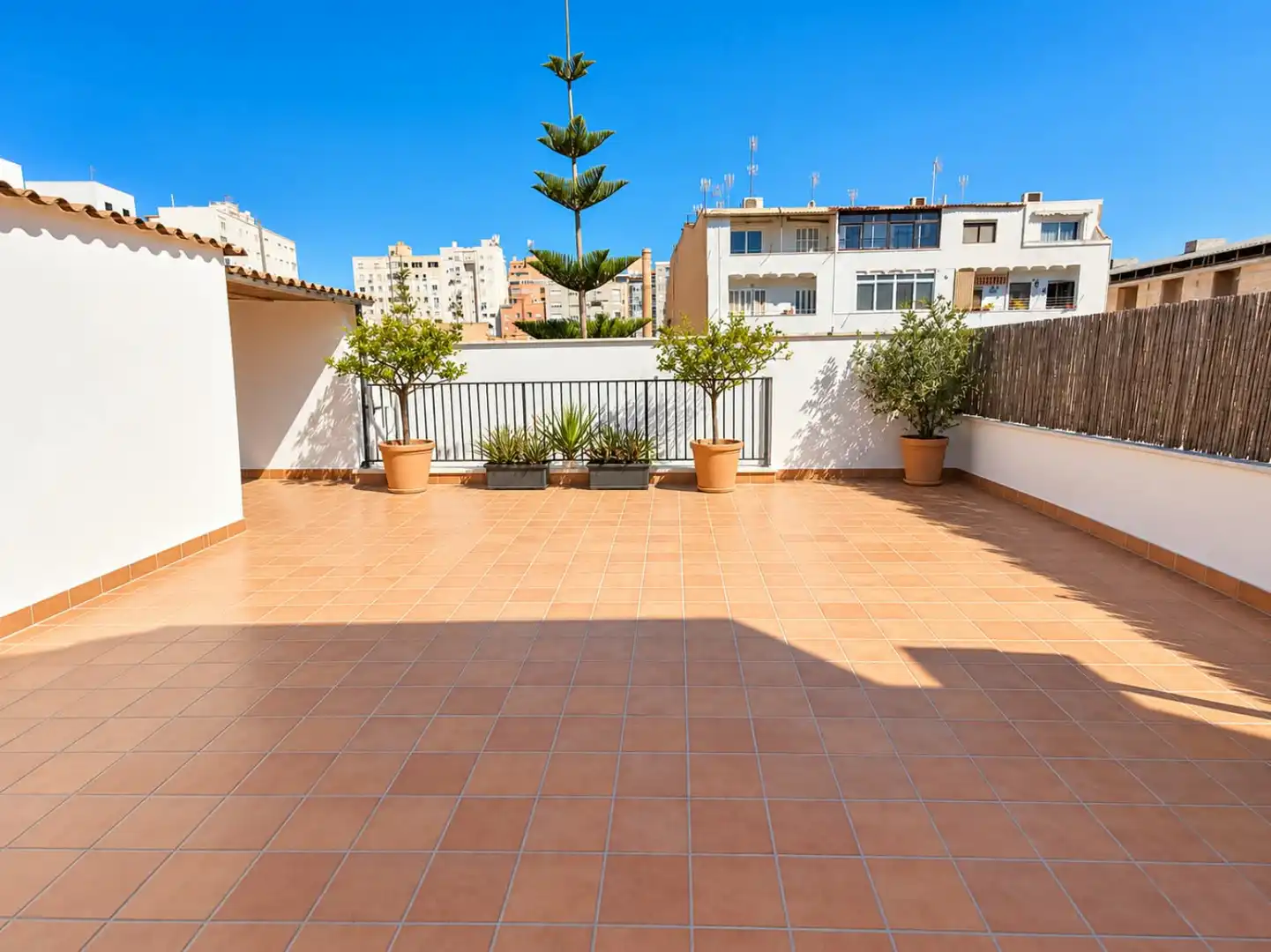 Àtic amb terrassa de lloguer a Palma de Mallorca - calle ferrriol 1, imagen 23