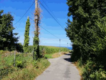 Rustikales Grundstück zum Verkauf in Valdés - Luarca