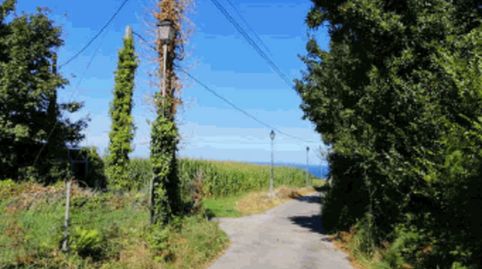 Immagine 1 dell'annuncio