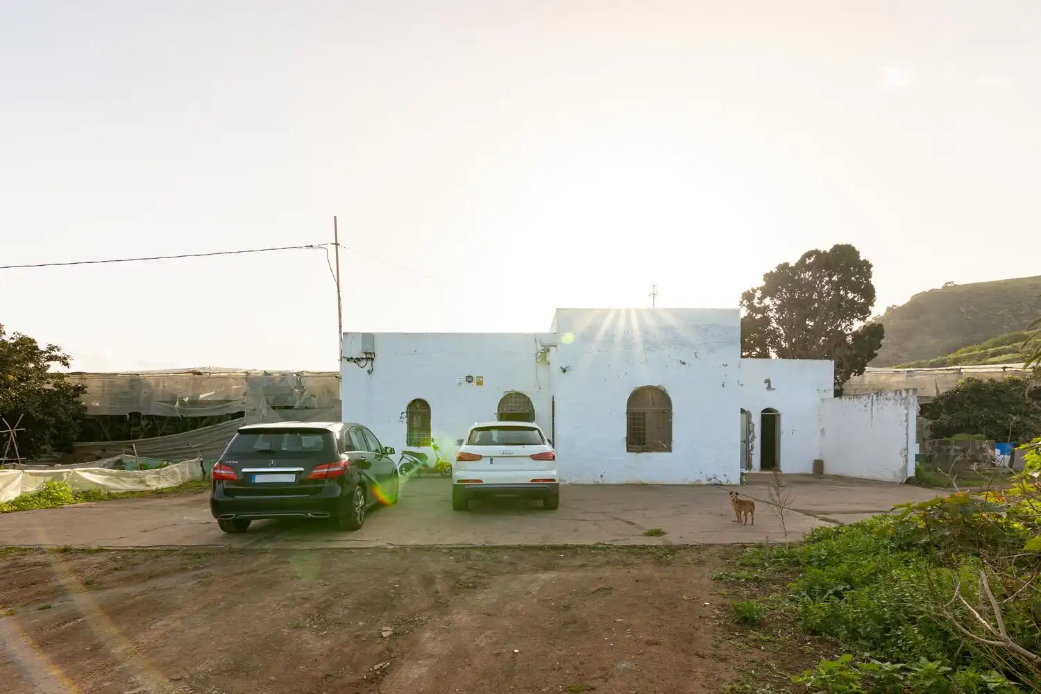 Vista exterior de Residencial en venta en Arucas
