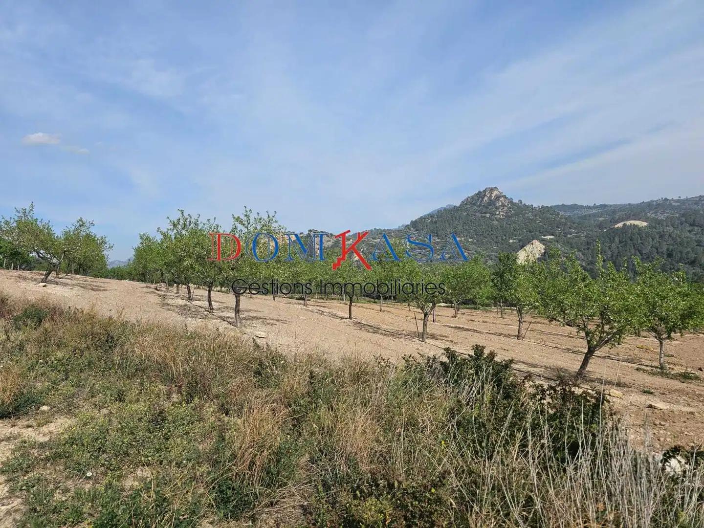 Industrial buildings for sale in Xerta