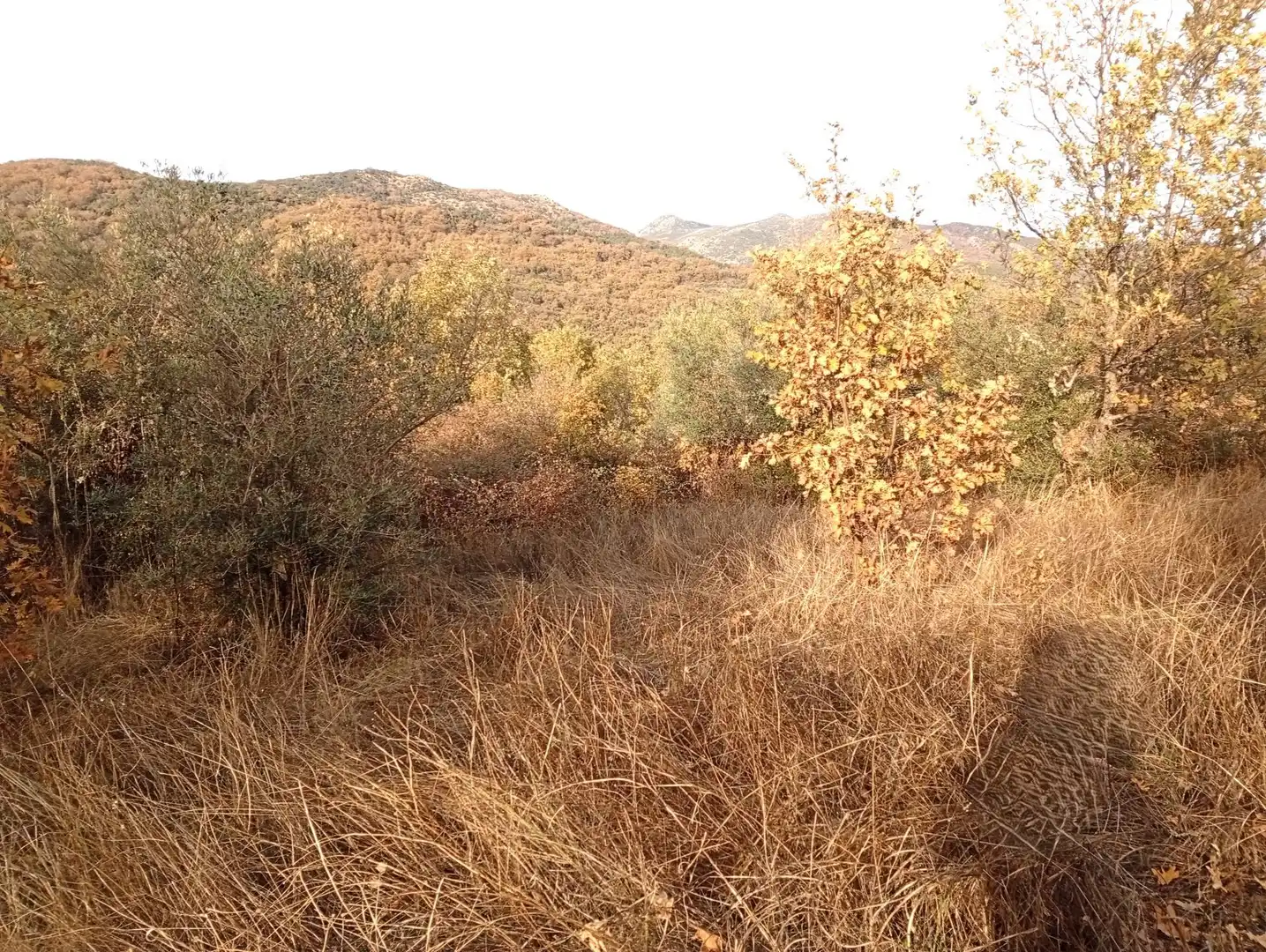 Terreni e lotti in vendita a Viandar de la Vera, imagen 36