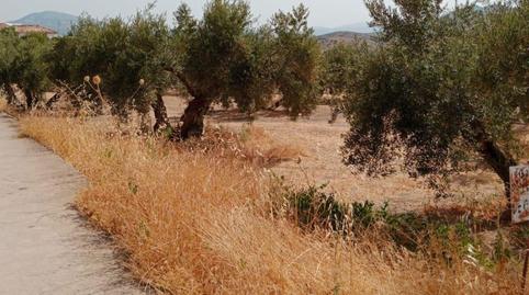 Foto 2 de Residencial en venda a Cahicena, 10, Priego de Córdoba, Córdoba