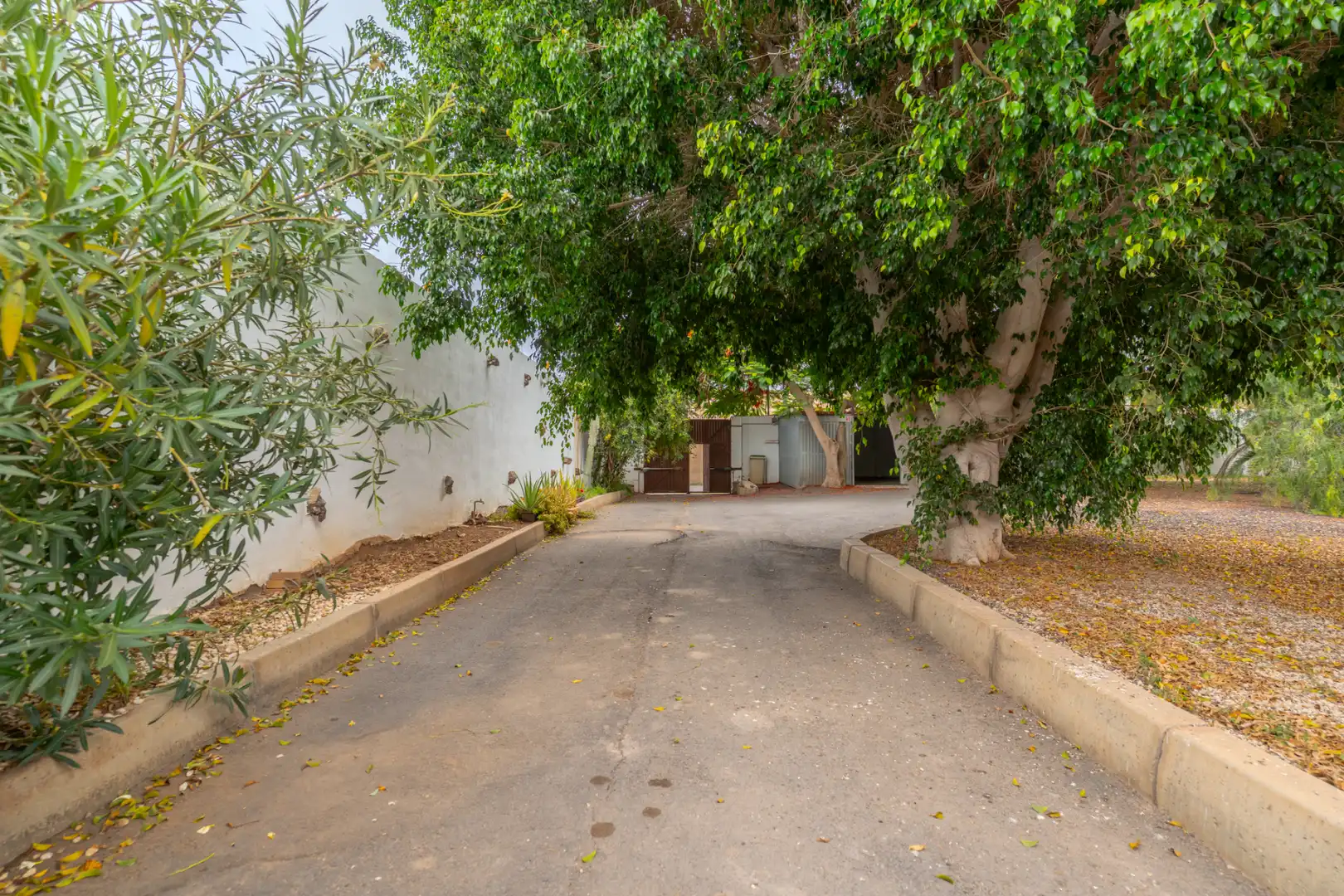 Vista exterior de Casa o xalet en venda en Arona amb Moblat
