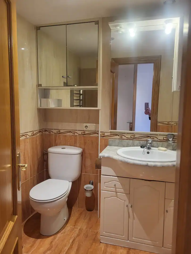 Baño de Piso de alquiler en Gijón  con Calefacción, Parquet y Amueblado