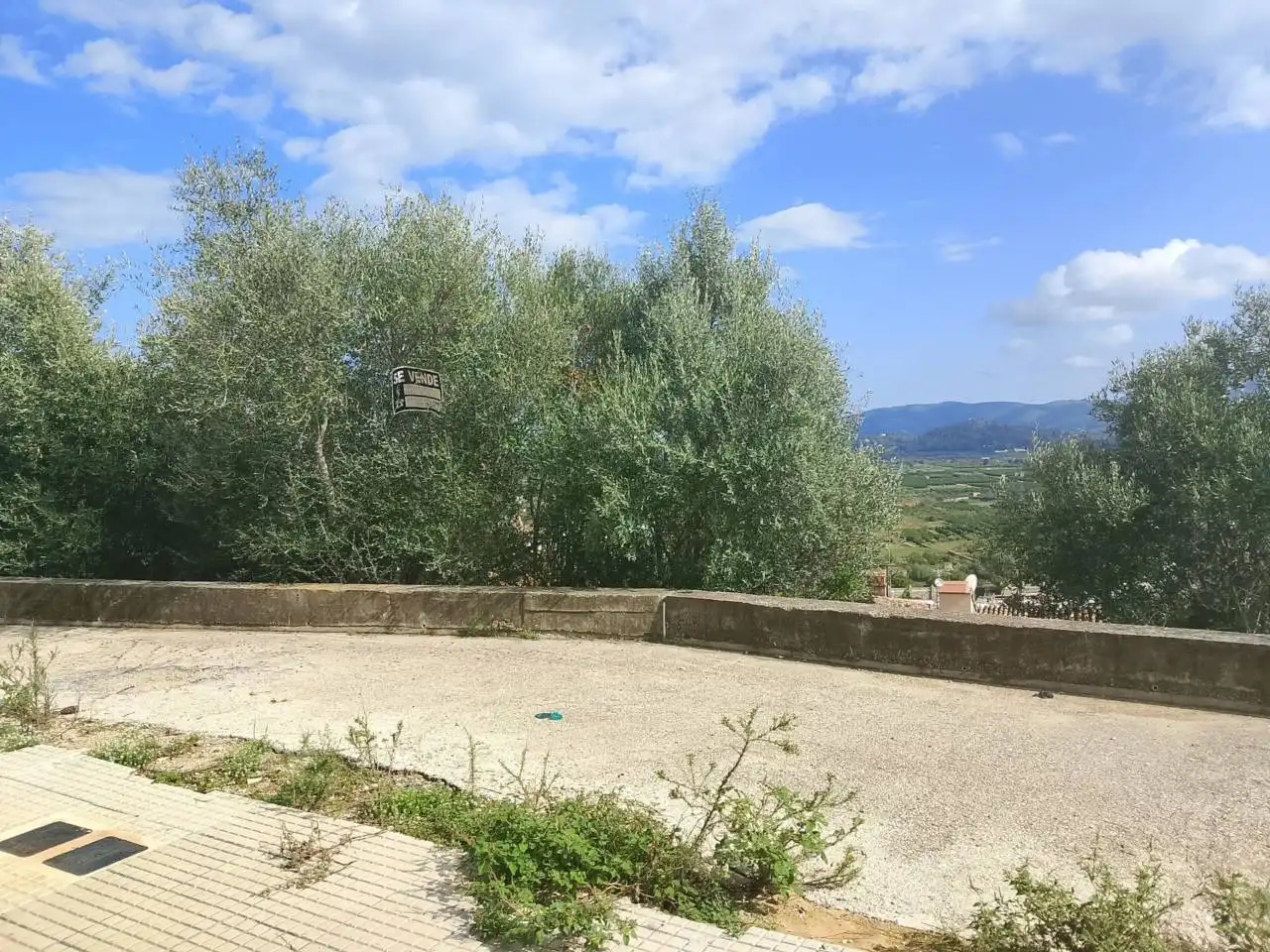 Garden of Residential for sale in Ador