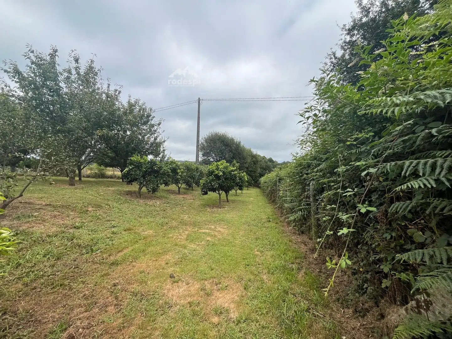 Rural land for sale in Covelo, imagen 17