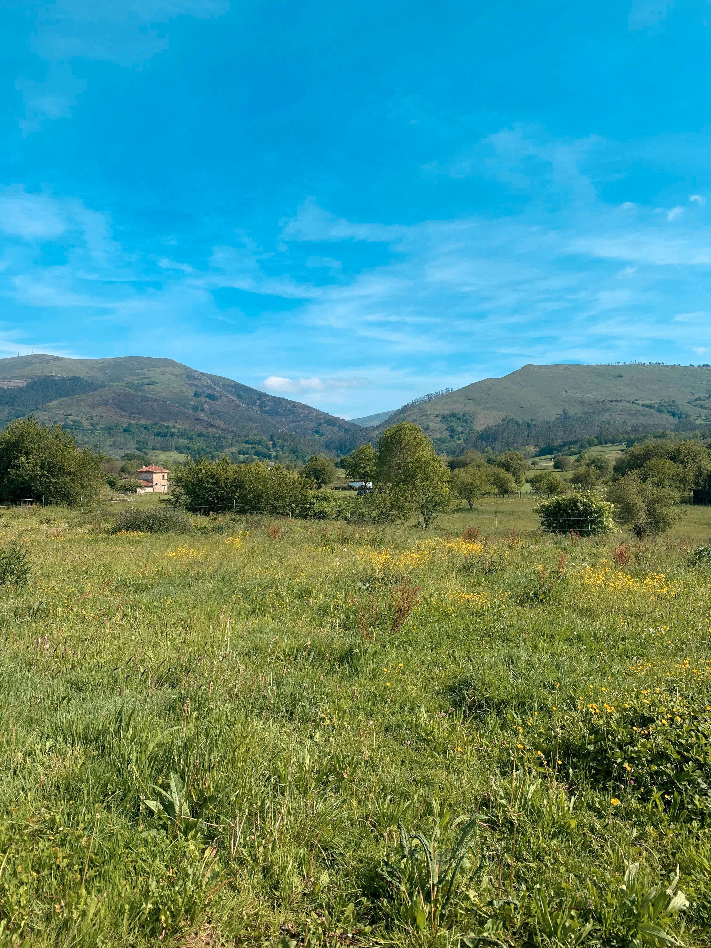 Land for sale in Mazcuerras