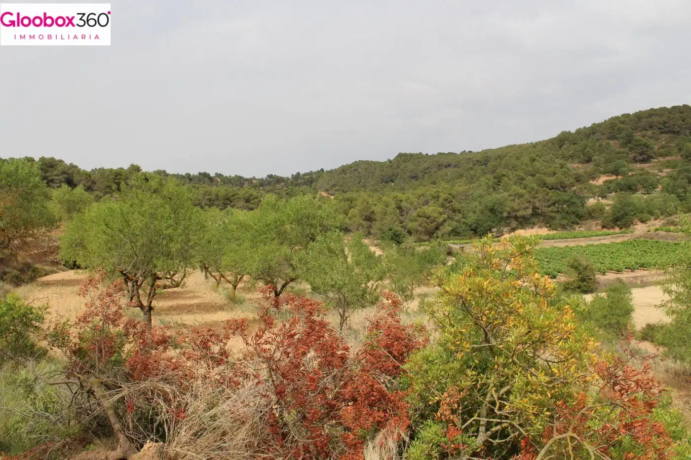 Country homes for sale in Blancafort  with Alarm