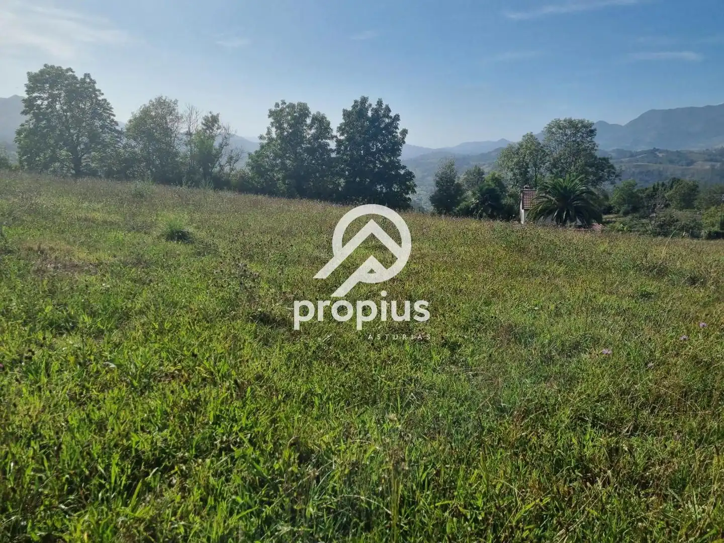 Rural land for sale in Arenas, imagen 18