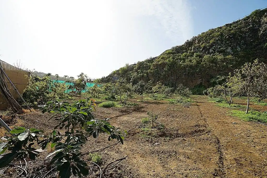 Finca rústica en venta en Camino DEHESA, 10, Santa María de Guía de Gran Canaria