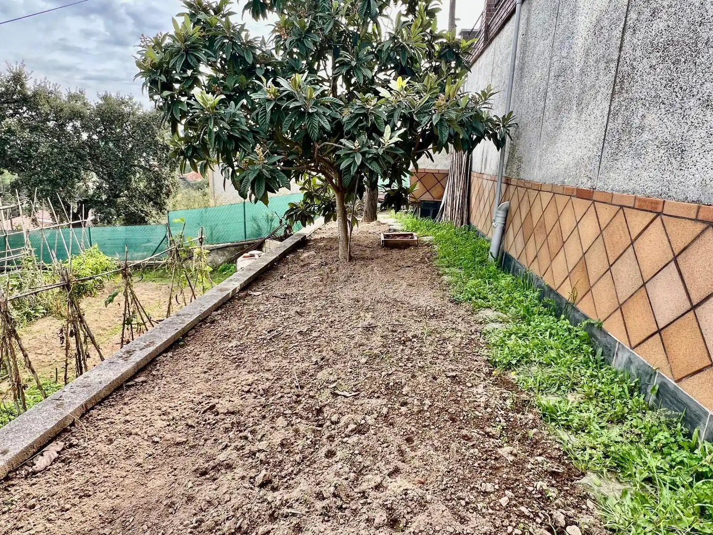 Casa o xalet en venda en Riudarenes amb Aire condicionat, Terrassa i Piscina
