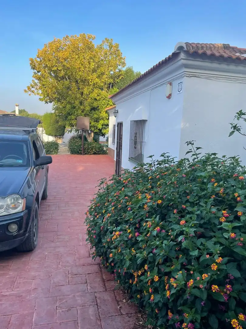 Xalet amb piscina en venda a Los Franceses – La Vega, imagen 22