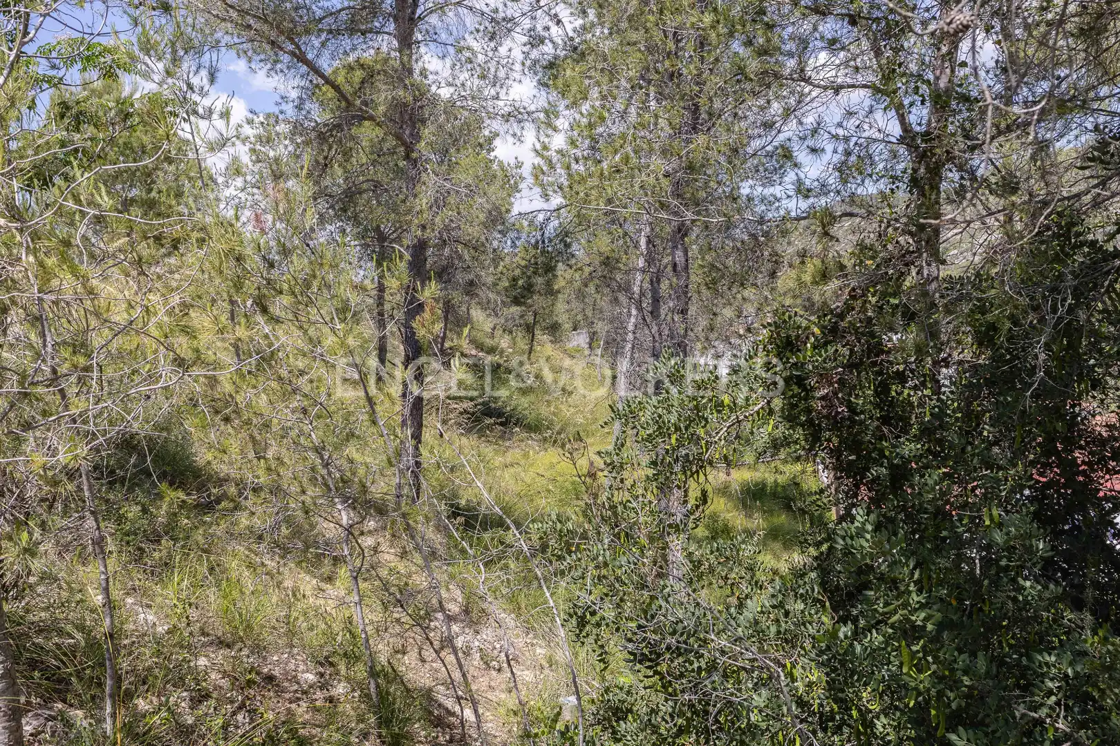Residential land for sale in Mas Alba, imagen 5