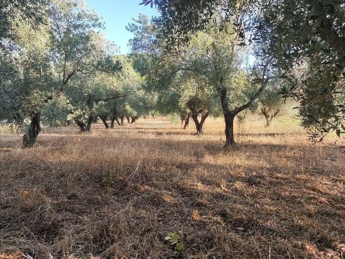 Residencial en venta en Badajoz