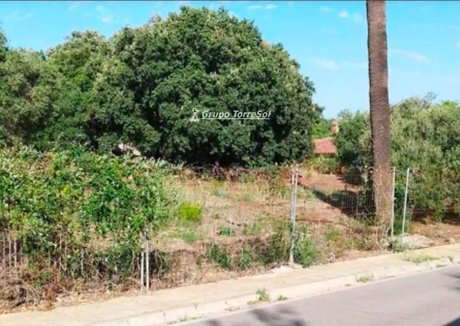 Terreny residencial en venda a Fucsia de La, imagen 5