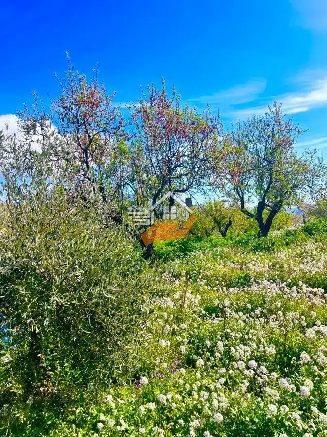 Residencial en venda en Vélez-Blanco