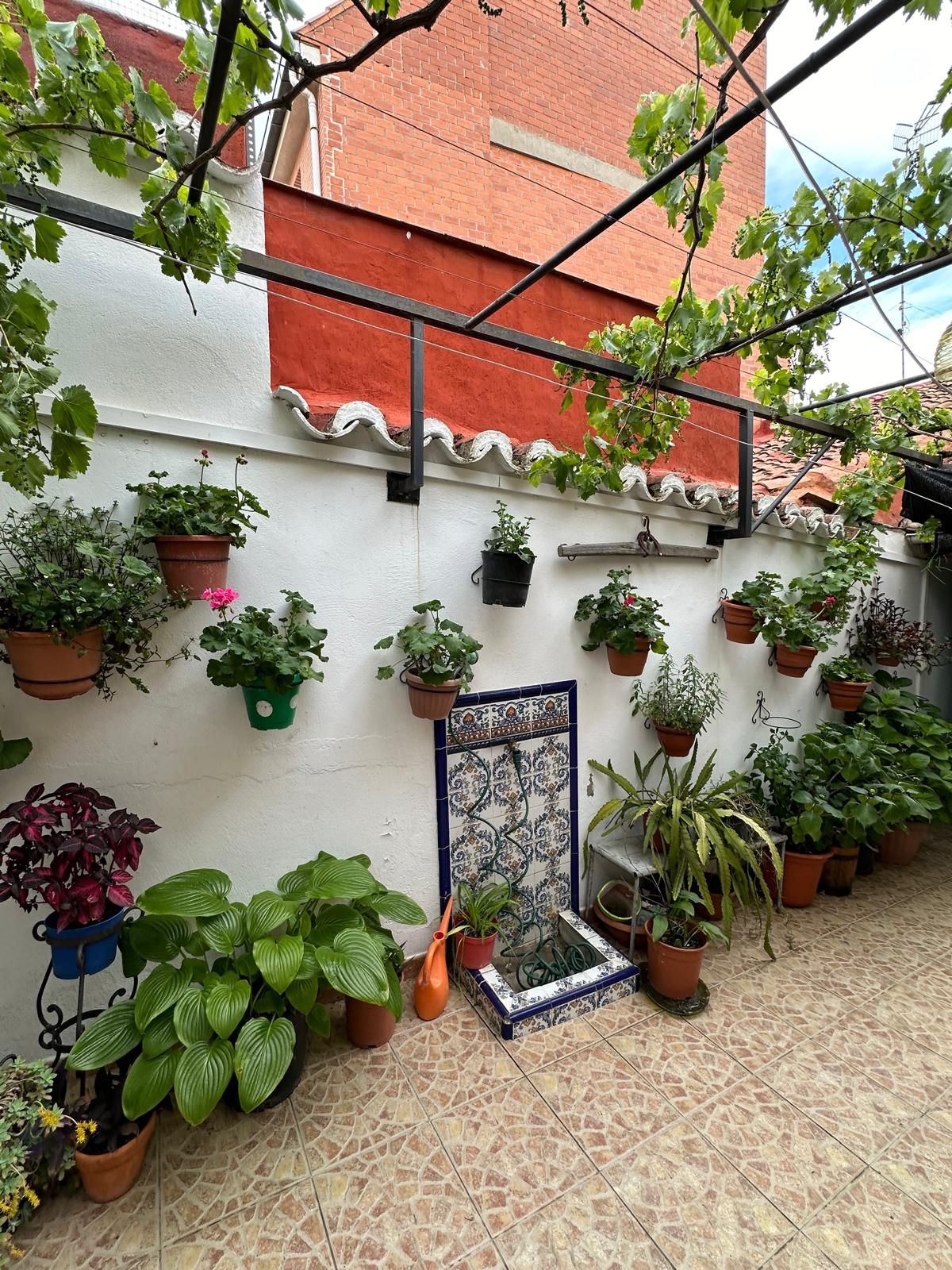 Terraza de Casa o chalet en venta en Benavente con Amueblado