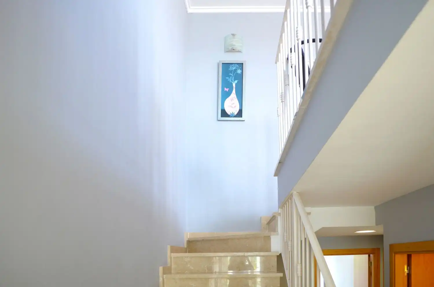 Duplexes for sale in Oliva Playa