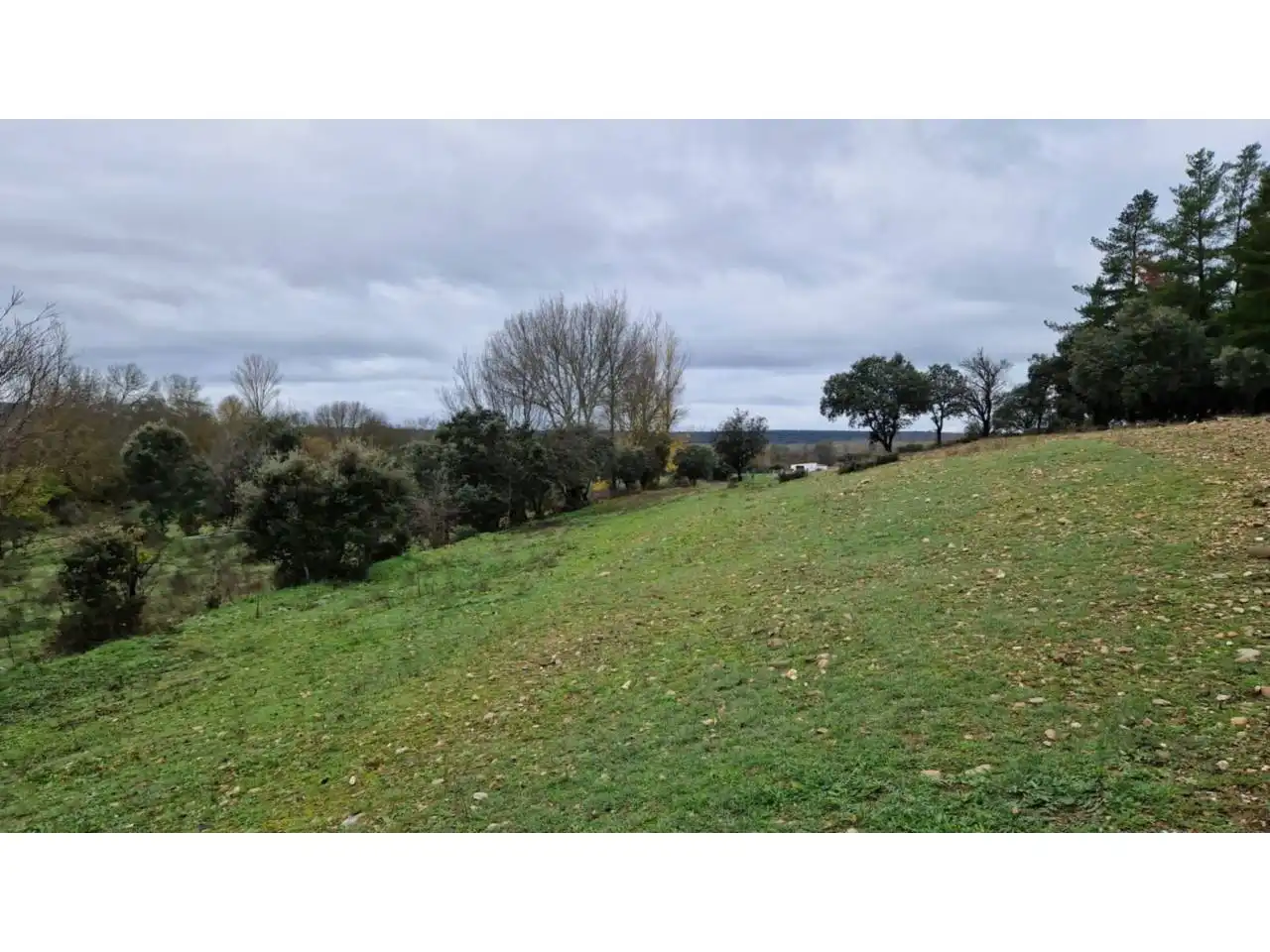 Terreno residenziale in vendita a Poligono 24 46, imagen 12