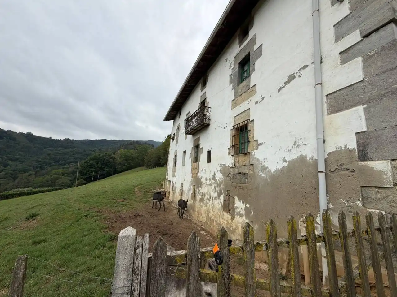 Exterior view of Houses for sale in Hernialde  with Private garden, Terrace and Furnished