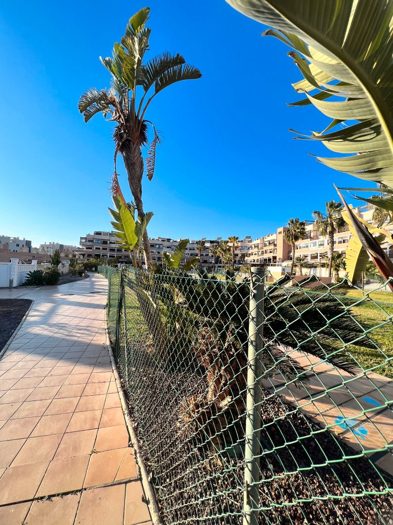 Vista exterior de Casa adosada en venda en  Almería Capital amb Terrassa i Piscina