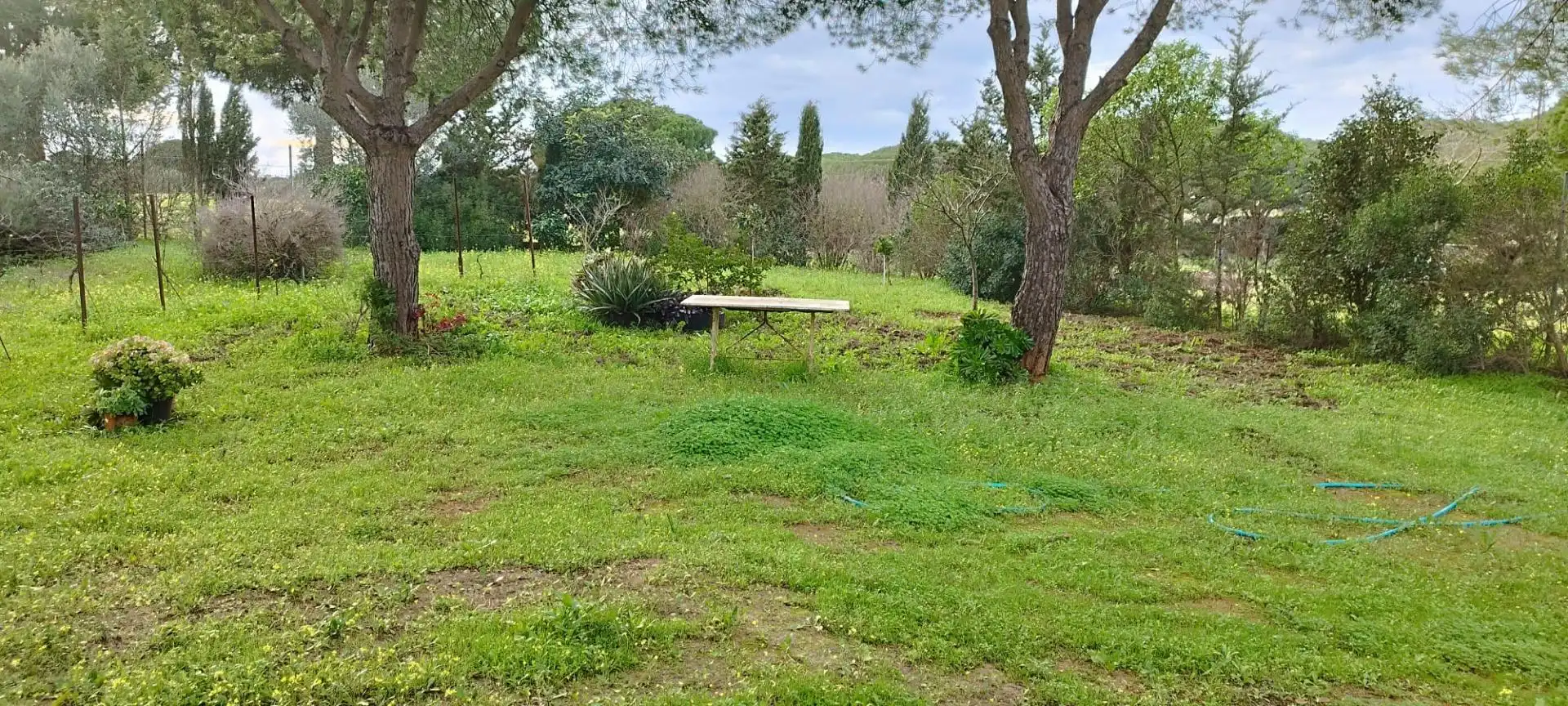 Casa o chalet en venta en Puerto Real