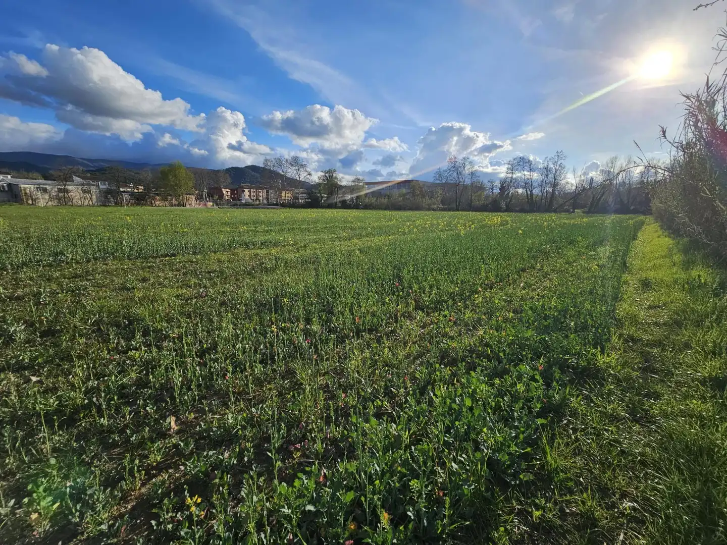 Terreno residencial en venta en Riells i Viabrea, imagen 4