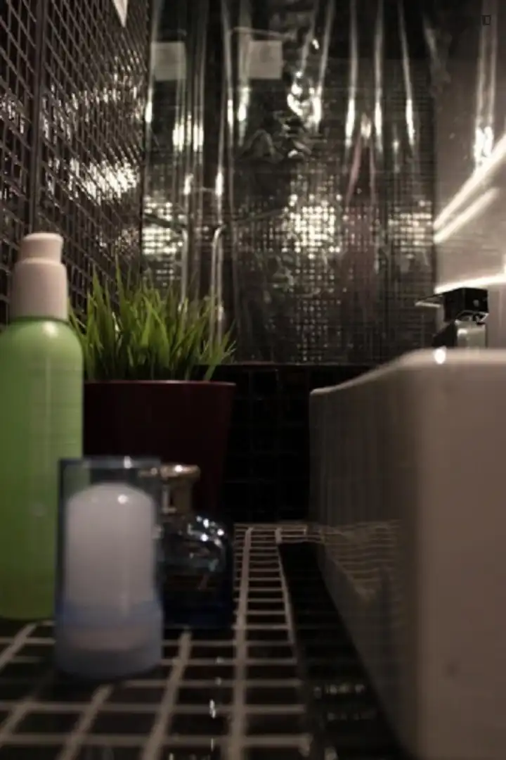 Apartment zur Miete in Centro, imagen 10