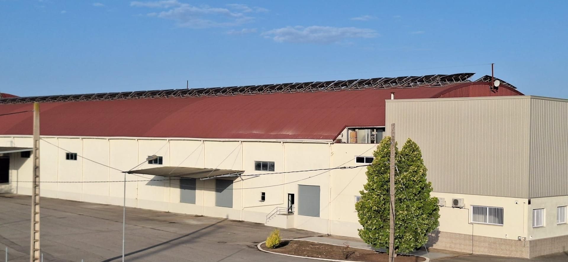 Exterior view of Industrial buildings for sale in Balaguer