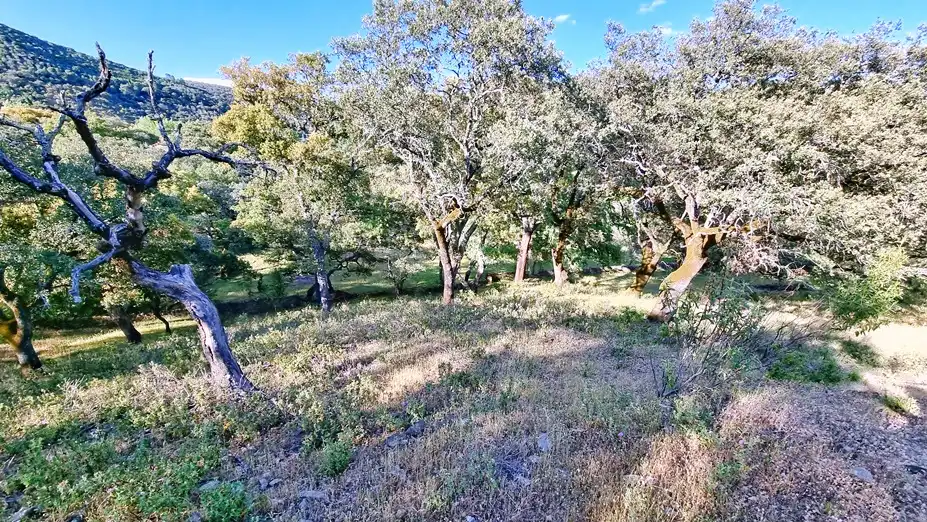Terreni e lotti in vendita a Linares de la Sierra, imagen 8