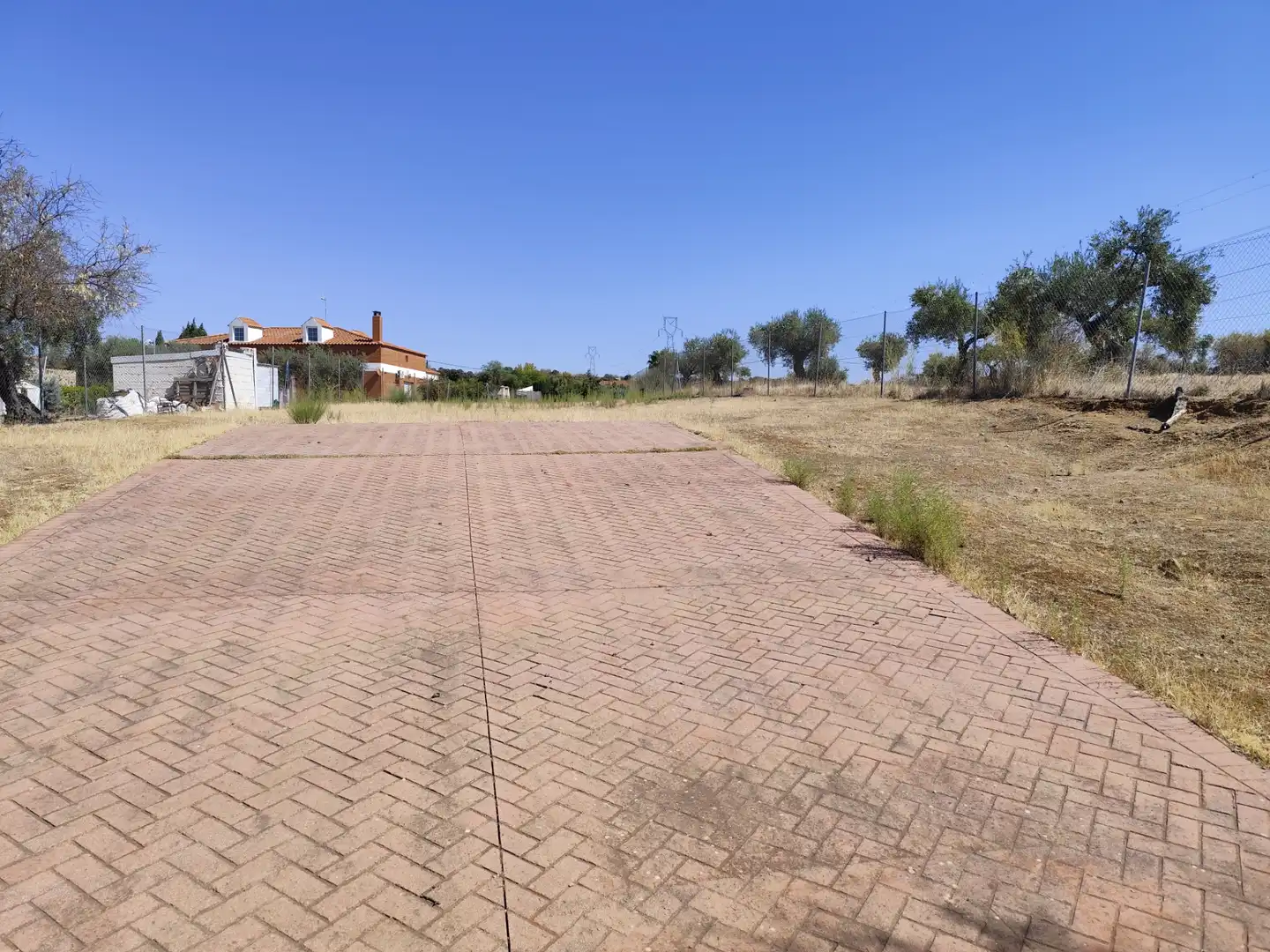 Terreno rústico en venta en Don Álvaro, imagen 8