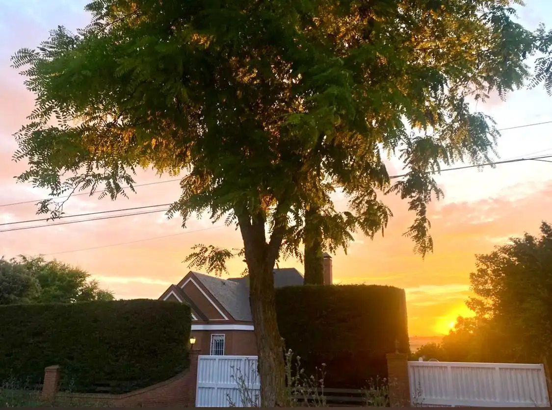 Vista exterior de Casa o xalet en venda en Nuevo Baztán amb Aire condicionat, Calefacció i Jardí privat