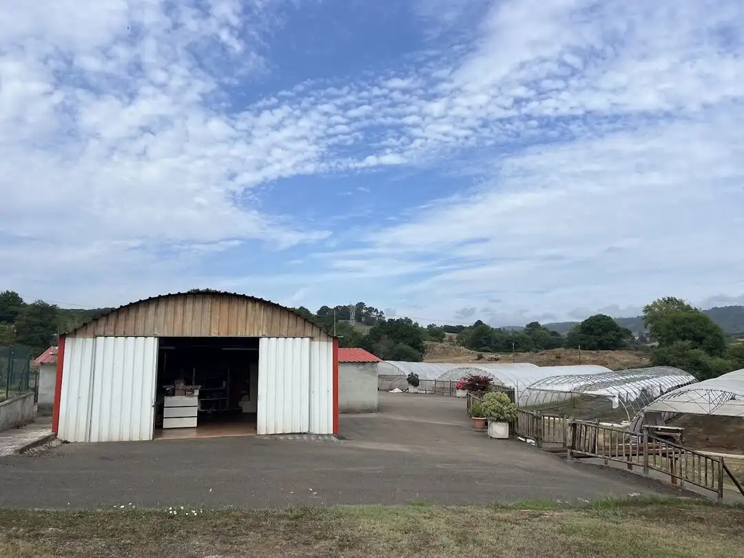 Terrenys i solars en venda a Llanera, imagen 24