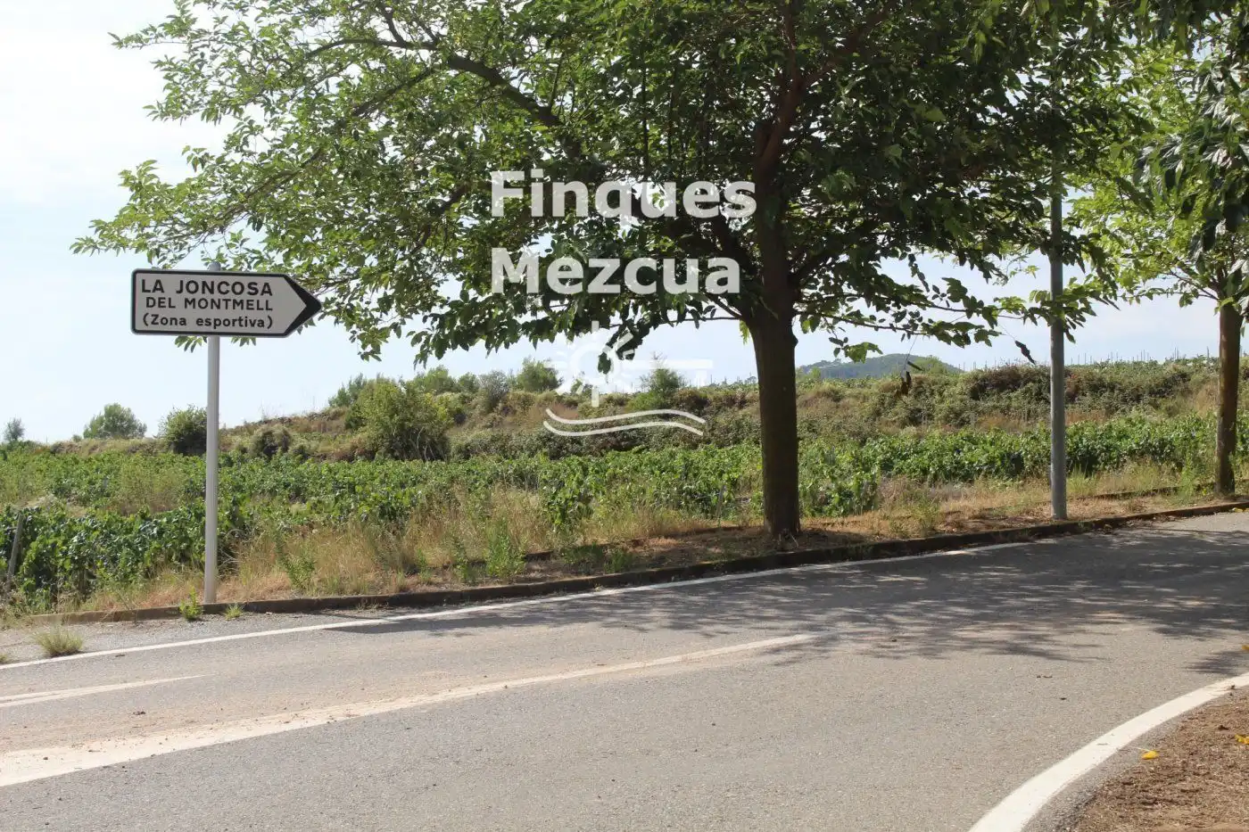Terreny rústic en venda a esglesia de l', imagen 11