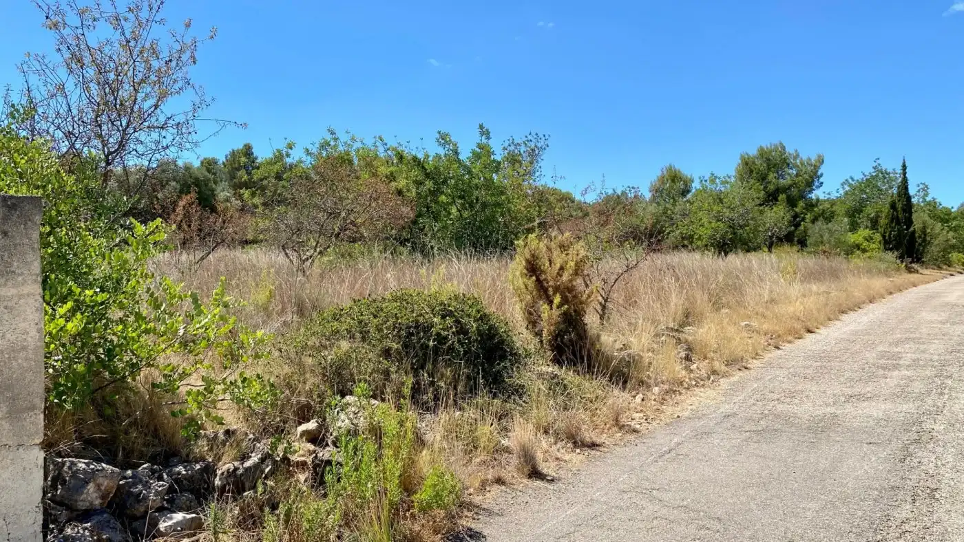 Terreno residencial en venta en Camino BARRANC DE MOLES 61, imagen 3