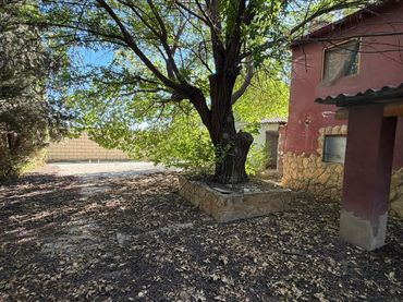 Casa con piscina en venta en Calle Diseminados