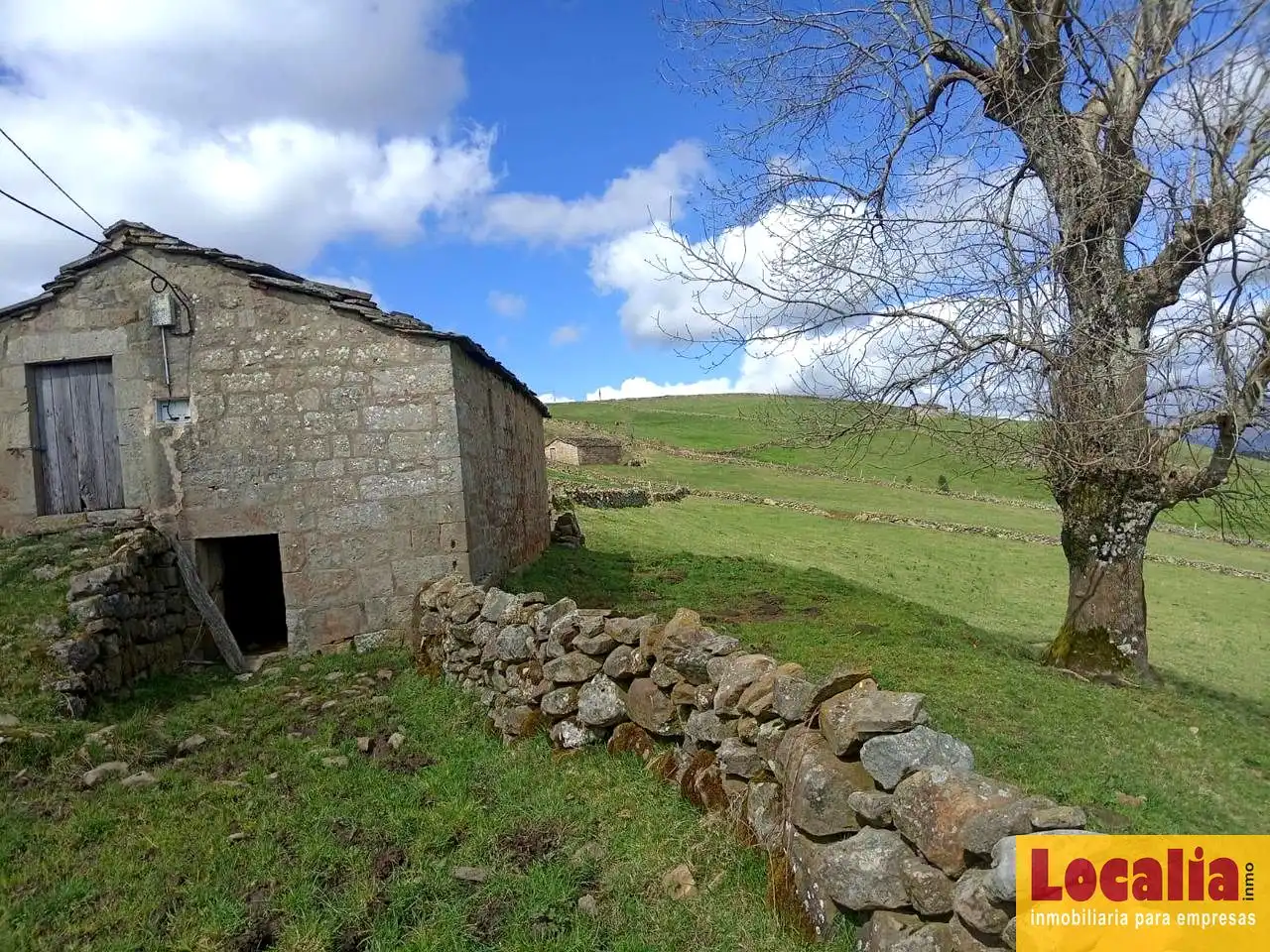 Vista exterior de Finca rústica en venta en San Pedro del Romeral