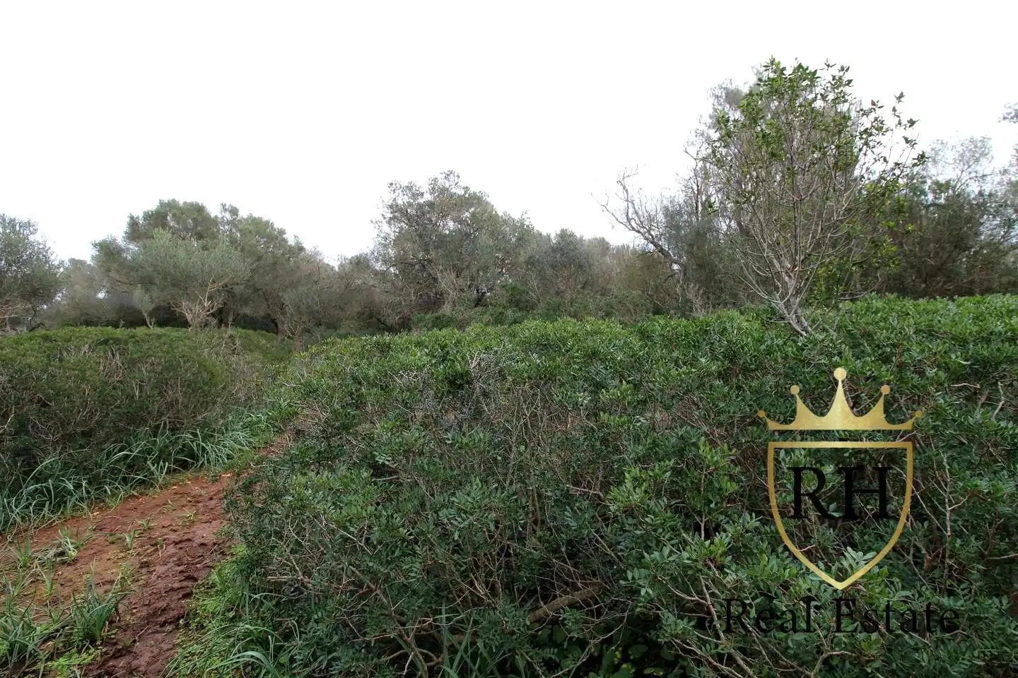 Lands and plots for sale in POLIGONO 49 PARCELA 3, imagen 22