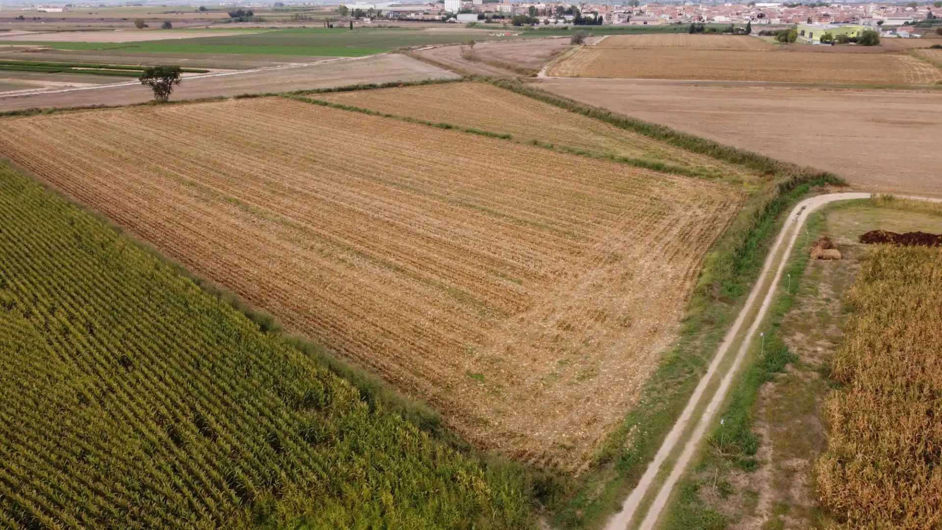 Terreny rústic en venda a Bell-lloc d'Urgell, imagen 2