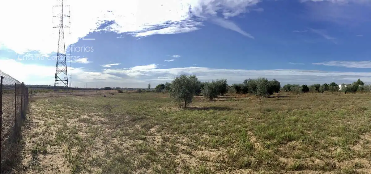 Country house for sale in Almonte ciudad, imagen 17