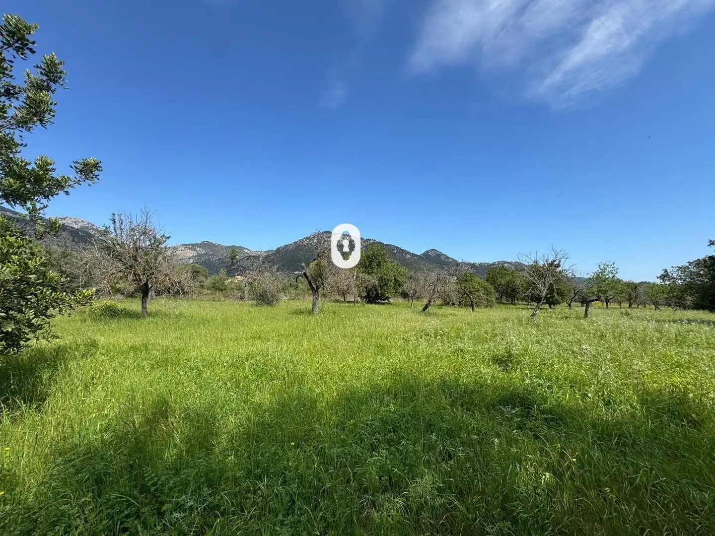 Residential for sale in Polígono 15 Parcela 49 SON MORRO. SELVA (ILLES BA, Selva