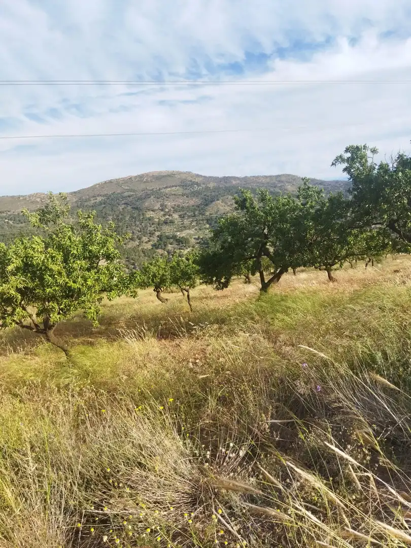 Terreni e lotti in vendita a Motril  ciudad, imagen 2