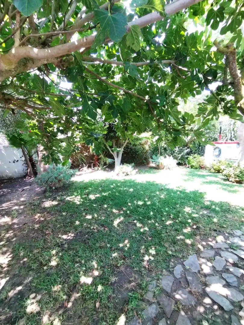Jardí de Finca rústica en venda en Vejer de la Frontera amb Jardí privat, Terrassa i Moblat
