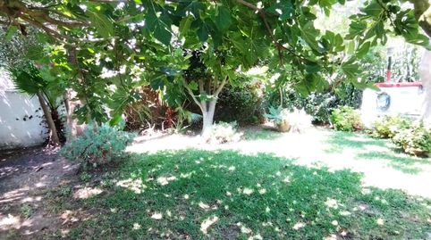 Magnifica casa rustica en parcela segregada en el Palmar, immagine 4