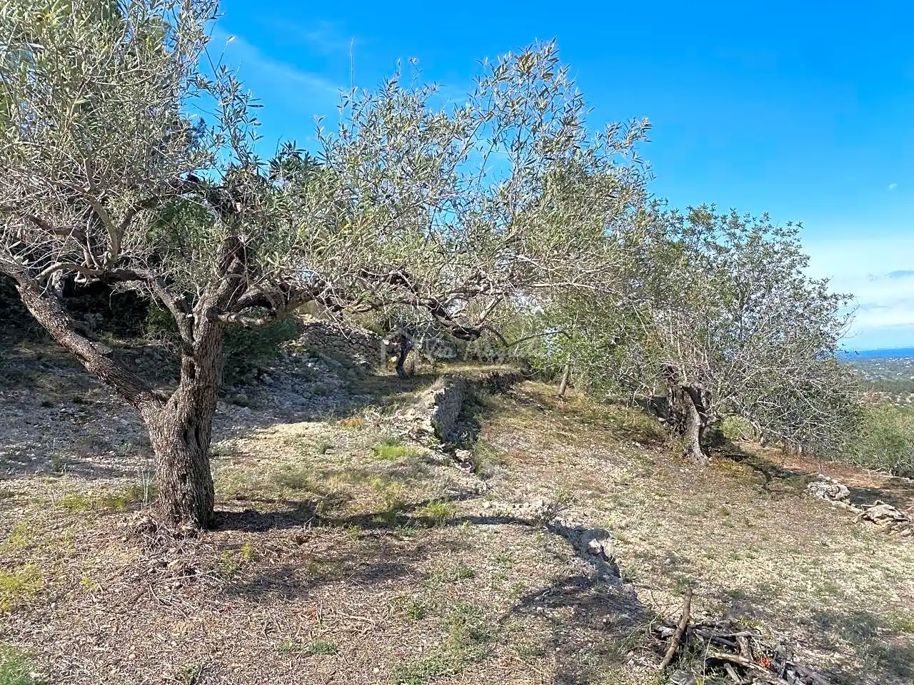 Terreno rustico in vendita a Puig Moltó, imagen 27